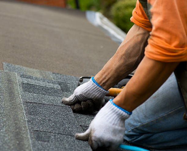 Best Roof Gutter Cleaning  in East Cleveland, TN