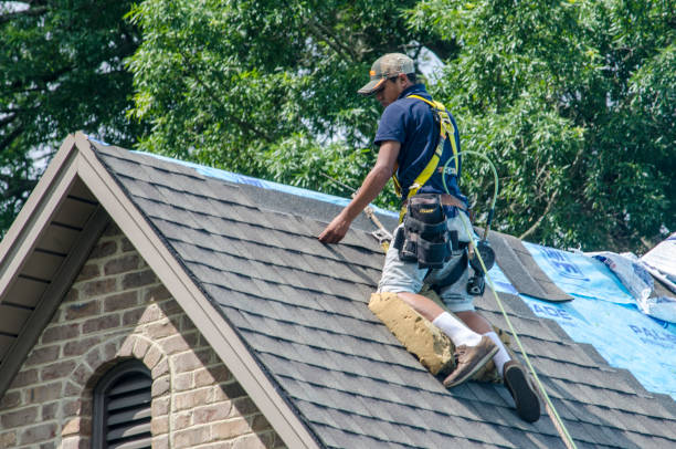 Best Shingle Roofing Installation  in East Cleveland, TN